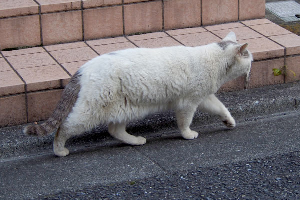 すんすん　ジュリ