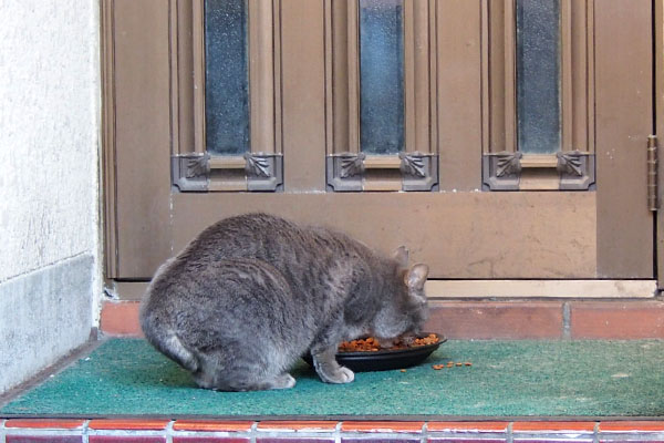 いつものご飯シピ