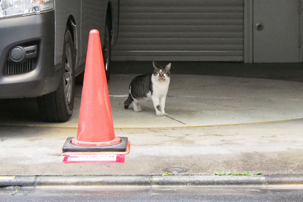 駐車場にオンブレ