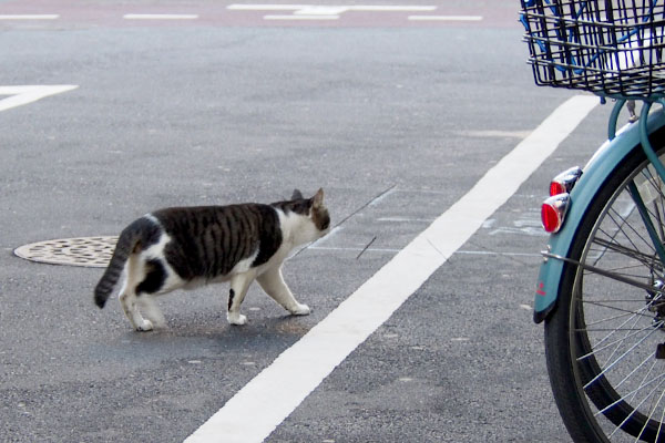 オンブレ　道路を渡たる