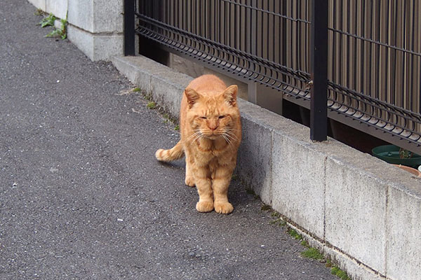 コルレ　事務所から出て来るところ