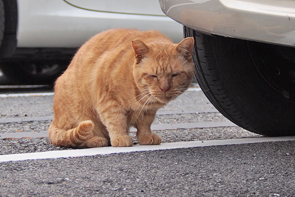 車の脇に身をおく　コルレ