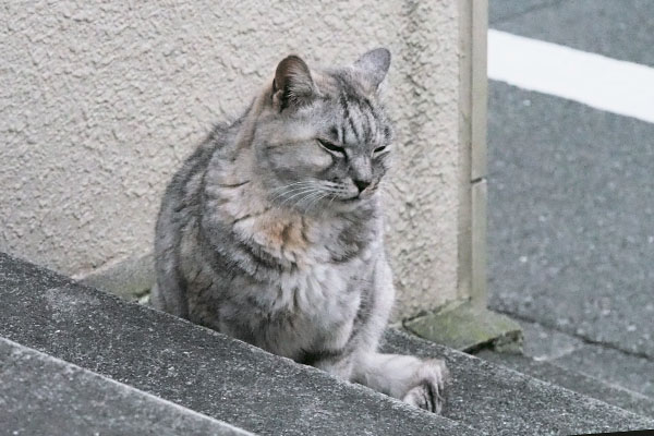 密かにやって来て目を閉じる銀