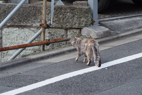 白線の内側へ銀