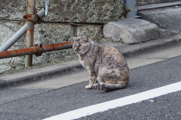 お座りした銀