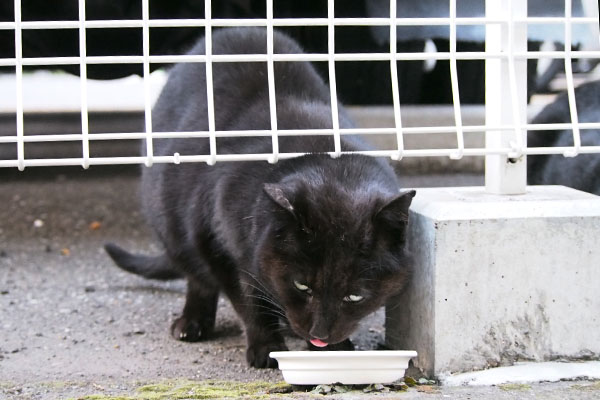 ミトン食べてる