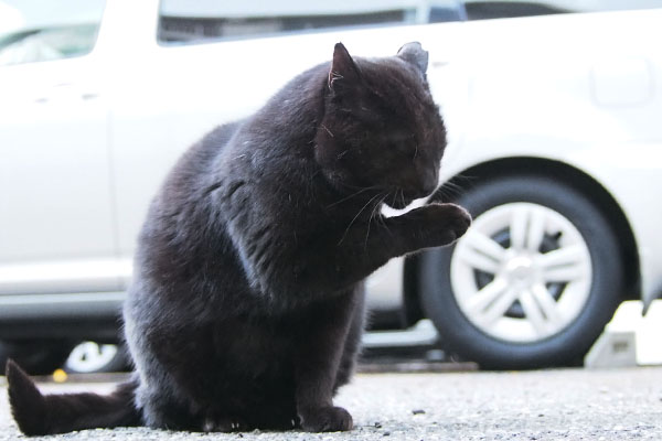 ミトン　お顔なめなめ３