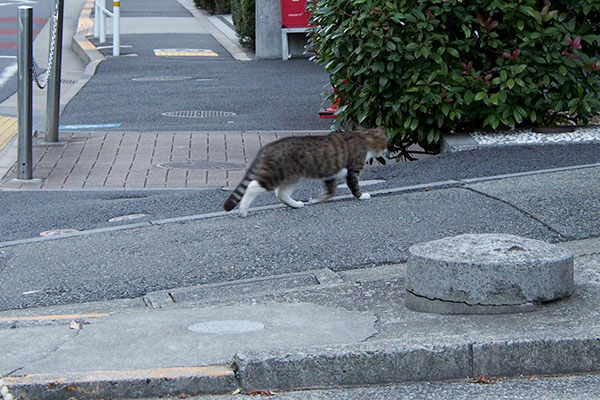 目の前にキックス