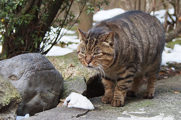 目を細くして遠くを見るファン