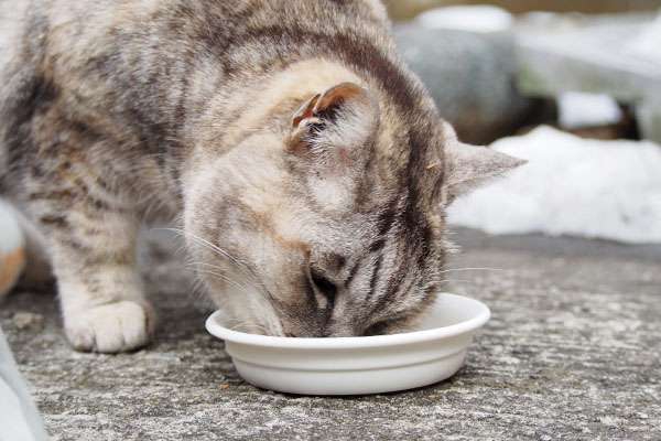 食べる銀