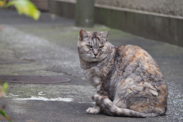 銀　遠くを見る