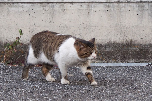 レオ太　少し避ける