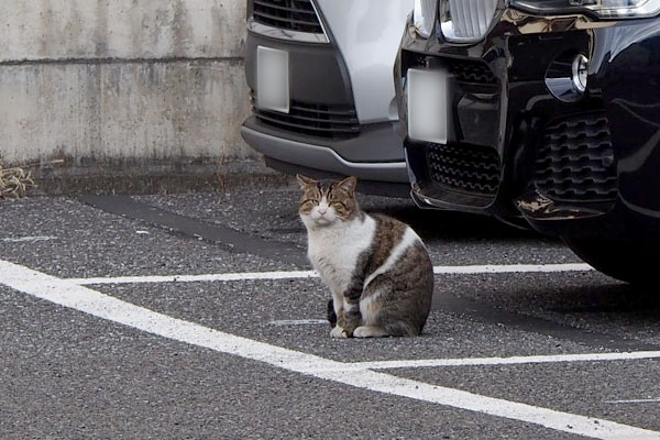 レオ太　え？みたいな顔