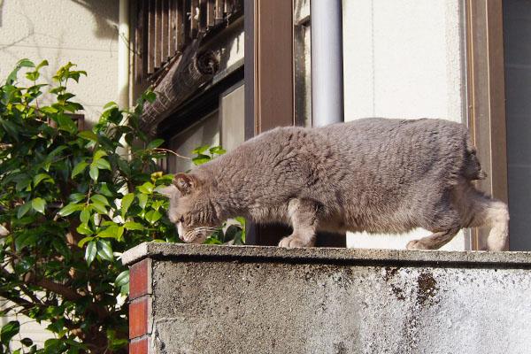 くんかくんか　シピ