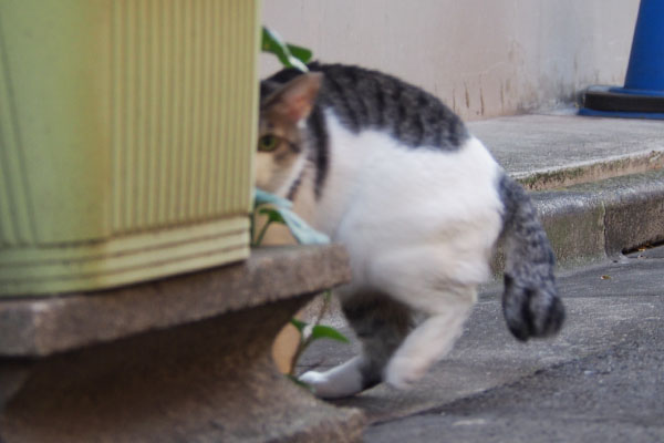 片目で覗きながらケイ