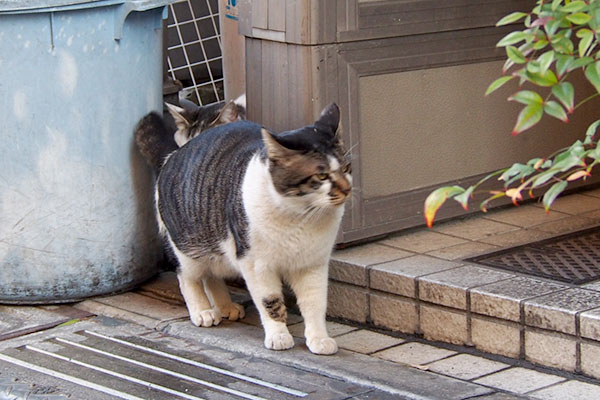 オンブレの後ろにケイ