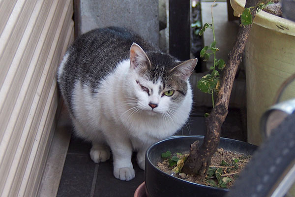 ケイ　上から撮るか