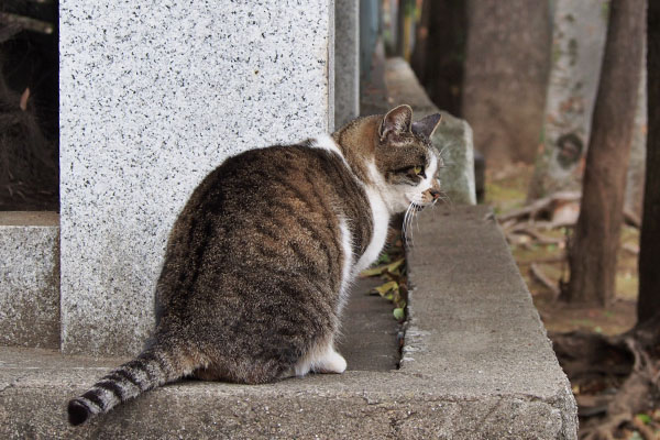 ちょこんと雫