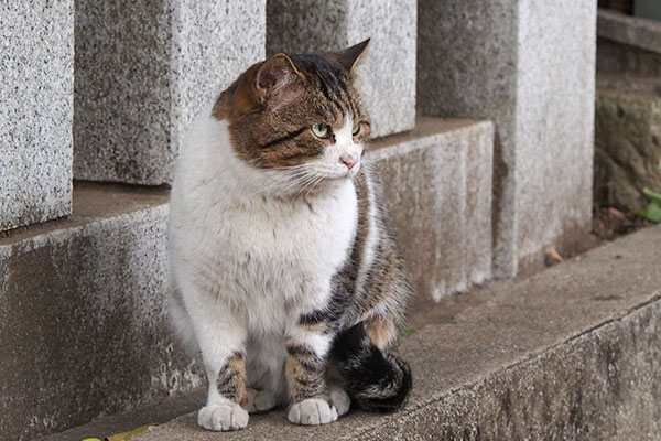 雫の背後で待つレオ太