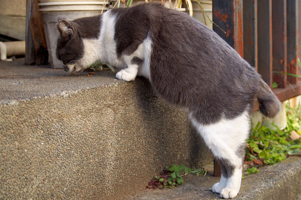 立って食べるスタイル１