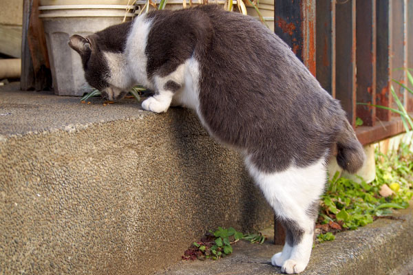 立って食べるスタイル２