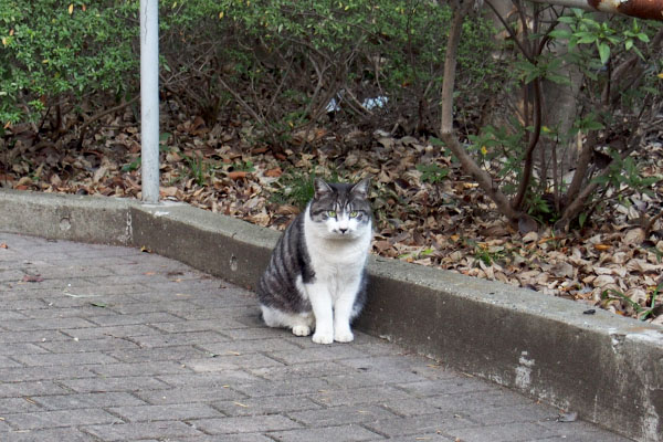 一週間後　タンタルのお出迎え