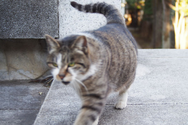 突然歩き出す　雫