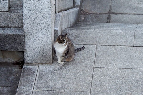 雫　考え中