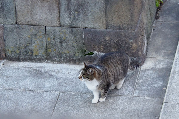 雫　残りの階段を見る