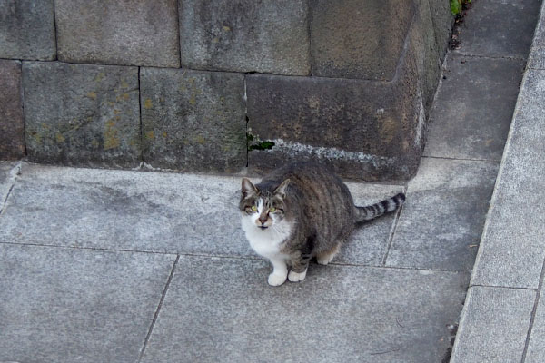 雫　何度もこっちを見る