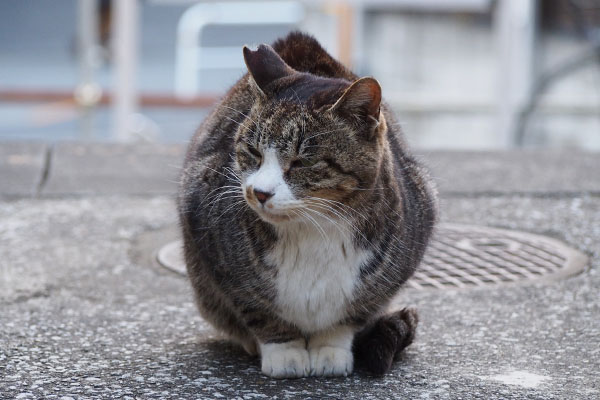 ぷいっと横向くカイ