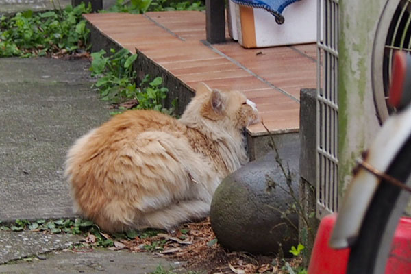 ジャンヌのファーストショット