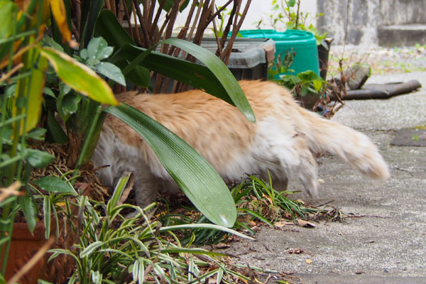 ジャンヌ　隠れる