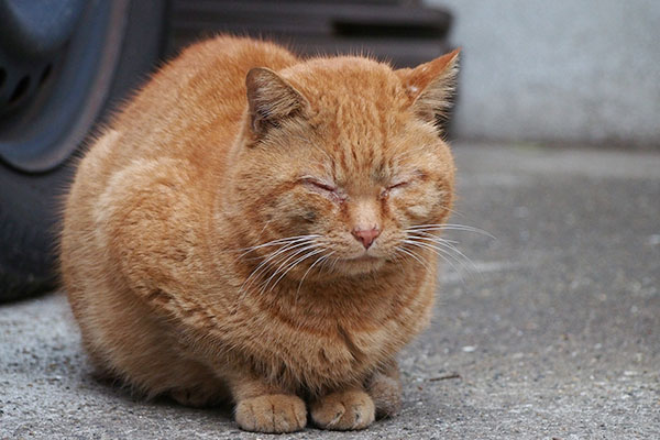 ジン　目を閉じている