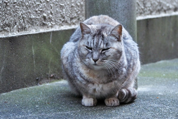 銀　お代わり待ち