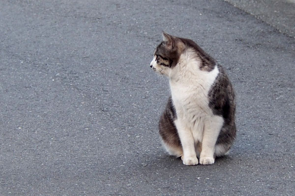 クロム　こっちに来て見せるにゃ