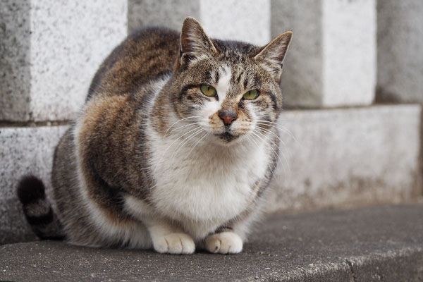 雫　ココを見る