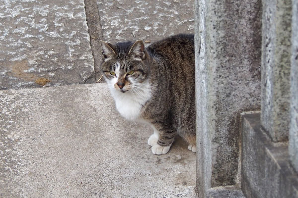 雫　ココの近くに