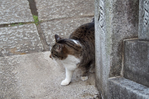 雫　やめた