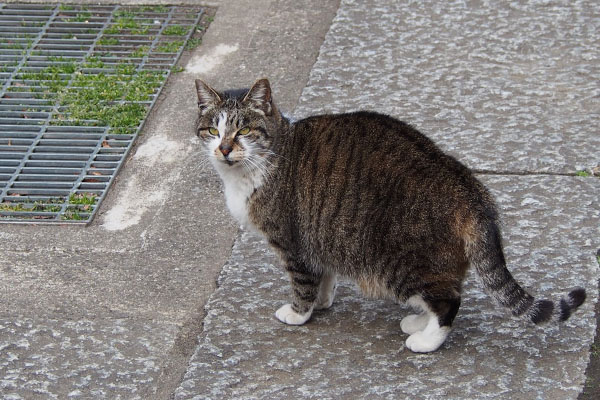 雫　シュッと階段上を見る