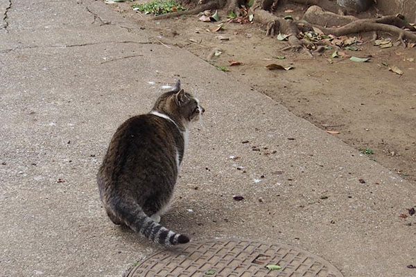 雫　トラップ解除でクロテを見る