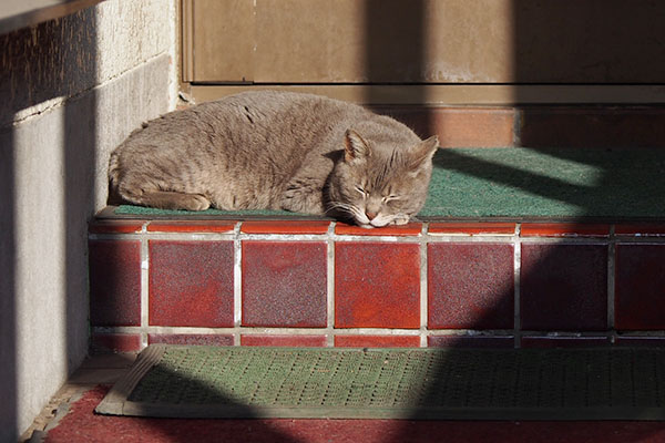 シピ　別の日　玄関前