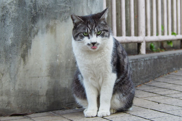 食べるお口のタンタル