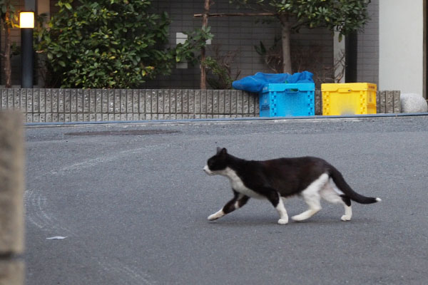 スイッチ　松邸ベランダへ向かう