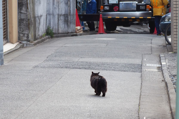 ハリマ　工事現場を見る