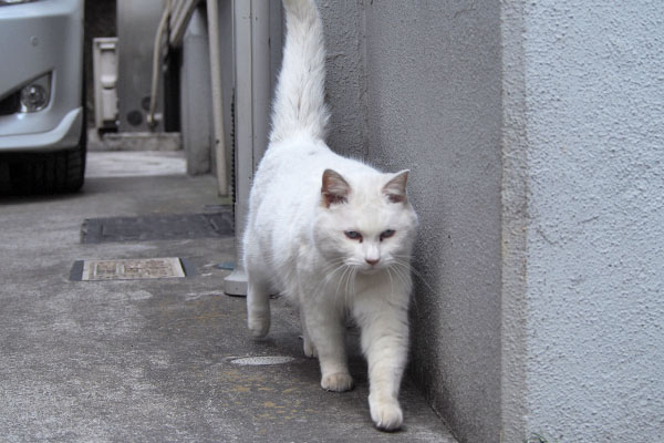 リリ　来た