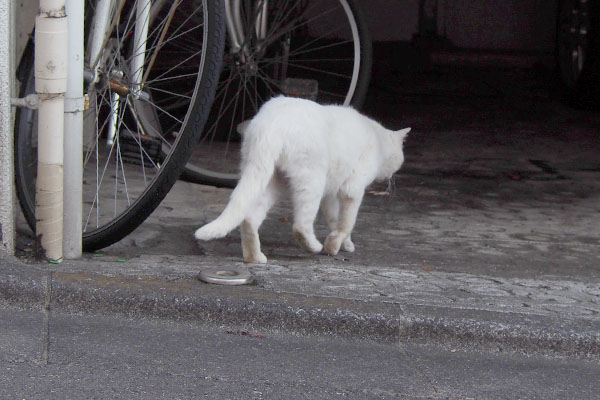 寄り道先へ入る