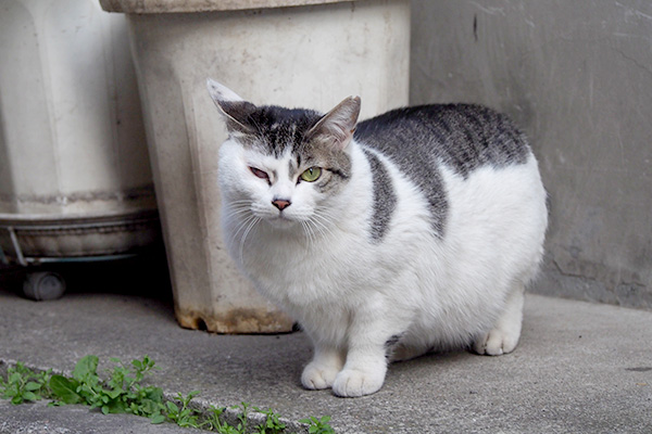 何かを求めているようなケイ