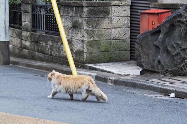 ジャンヌ　道路の上