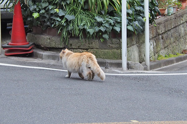 マイペースなジャンヌ